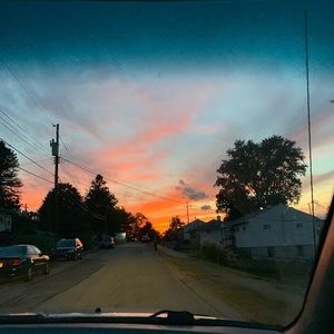 Meet your Posher, Molly